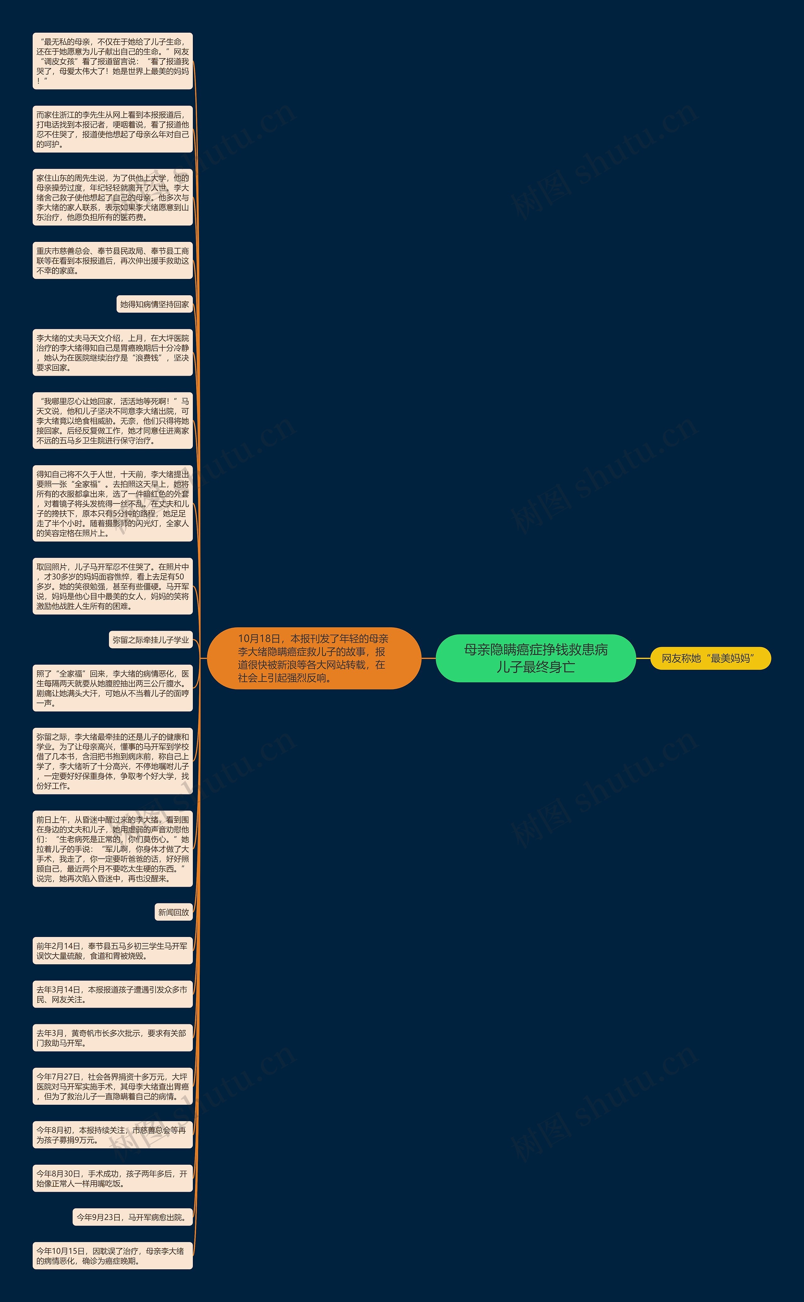 母亲隐瞒癌症挣钱救患病儿子最终身亡思维导图