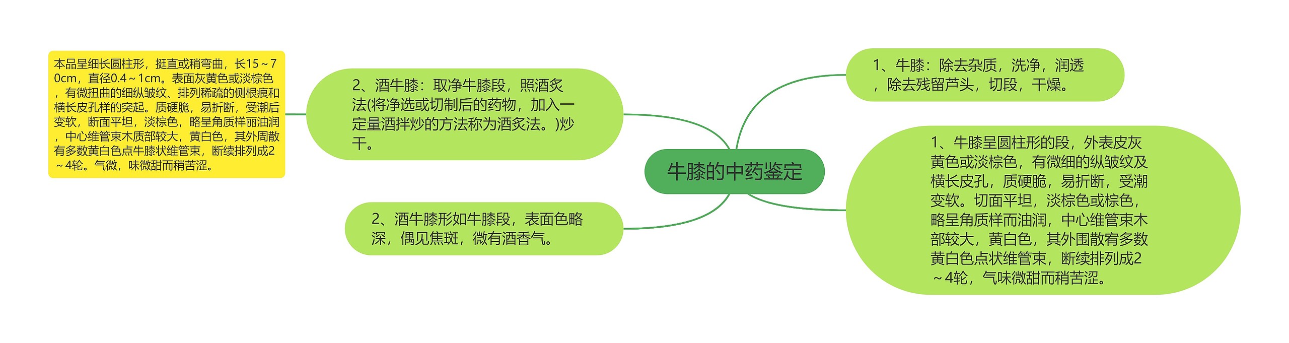 牛膝的中药鉴定 牛膝的中药鉴定