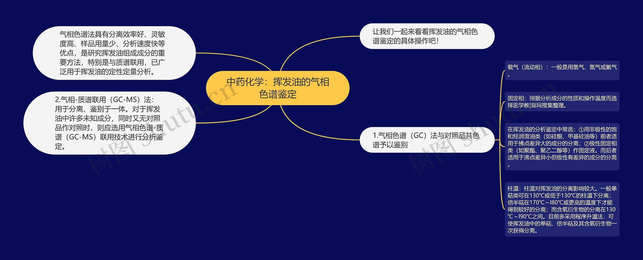 中药化学：挥发油的气相色谱鉴定思维导图