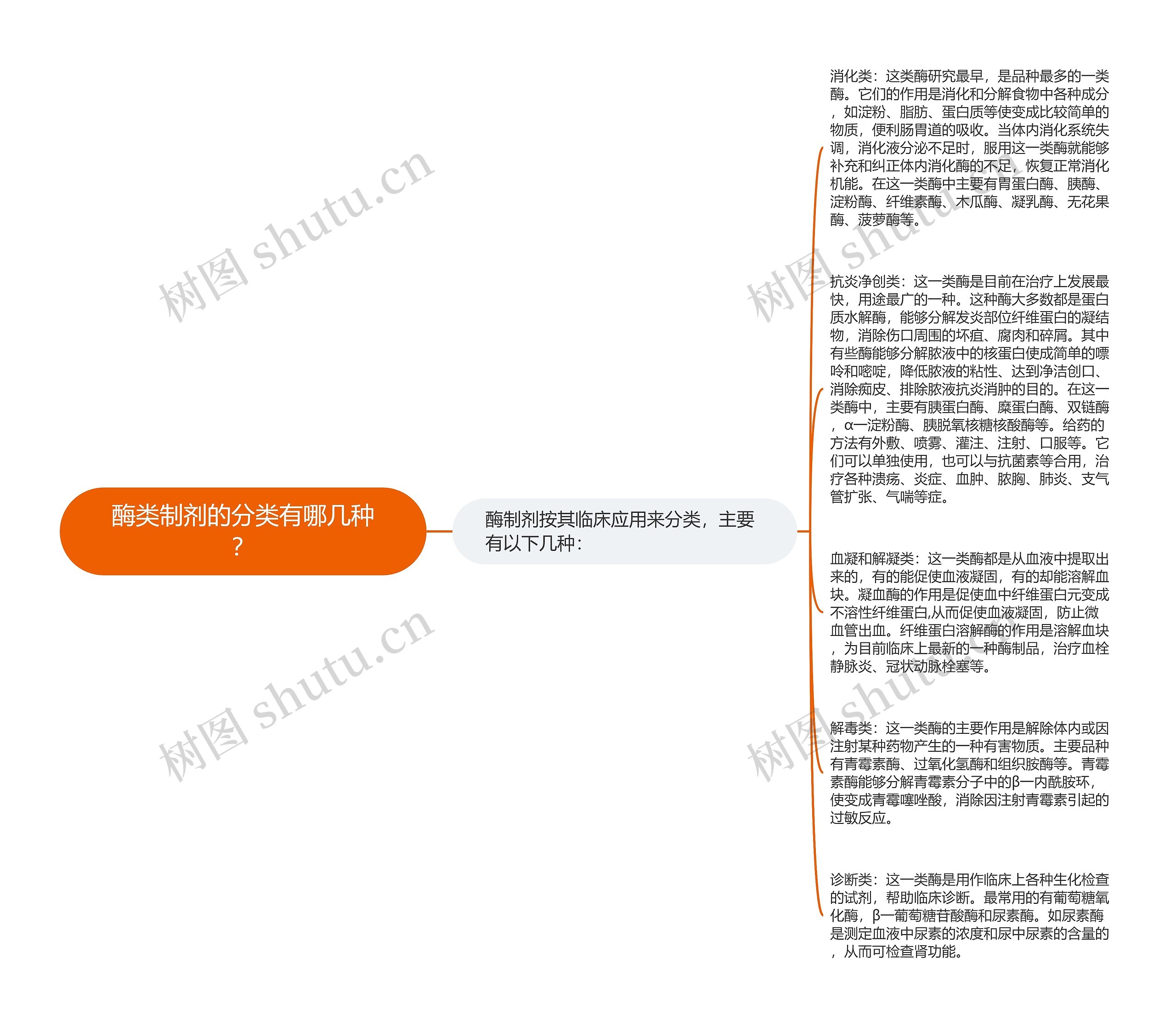 酶类制剂的分类有哪几种？思维导图