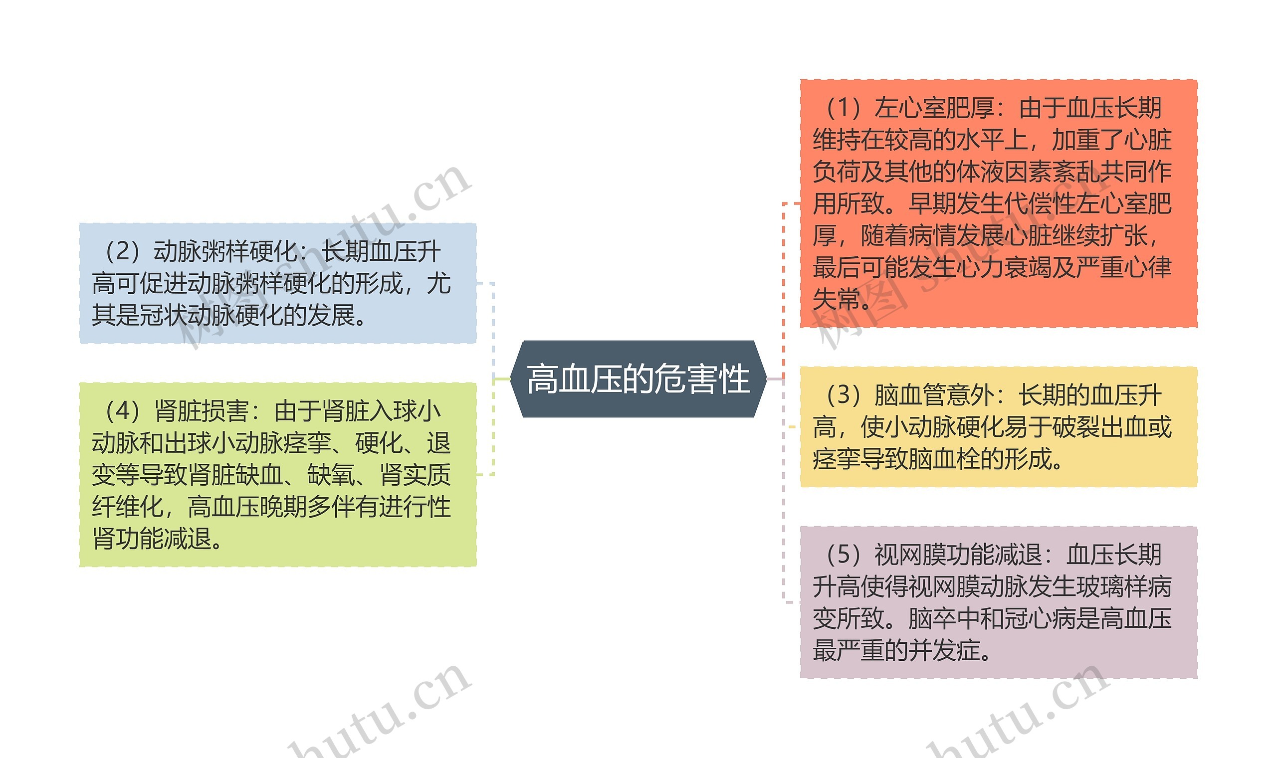 高血压的危害性思维导图