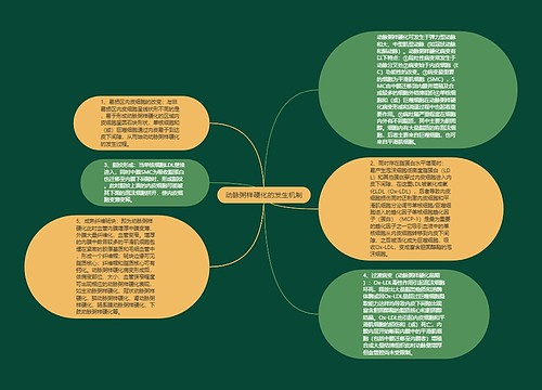 动脉粥样硬化的发生机制