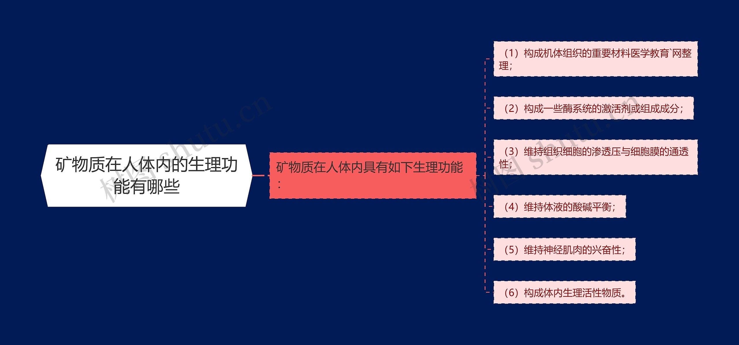 矿物质在人体内的生理功能有哪些思维导图