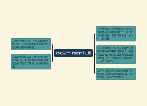 药物分析：药物治疗过程