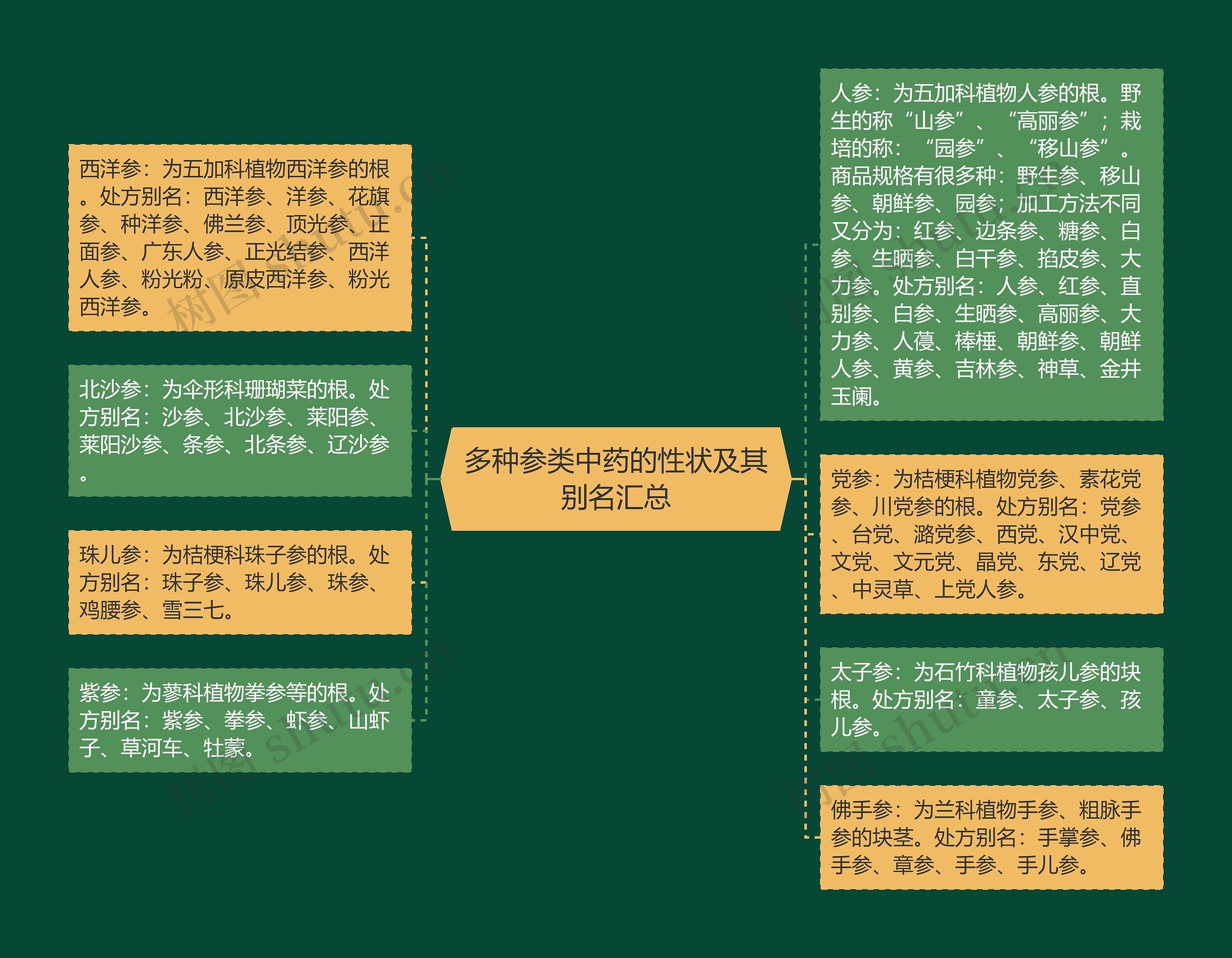 多种参类中药的性状及其别名汇总思维导图