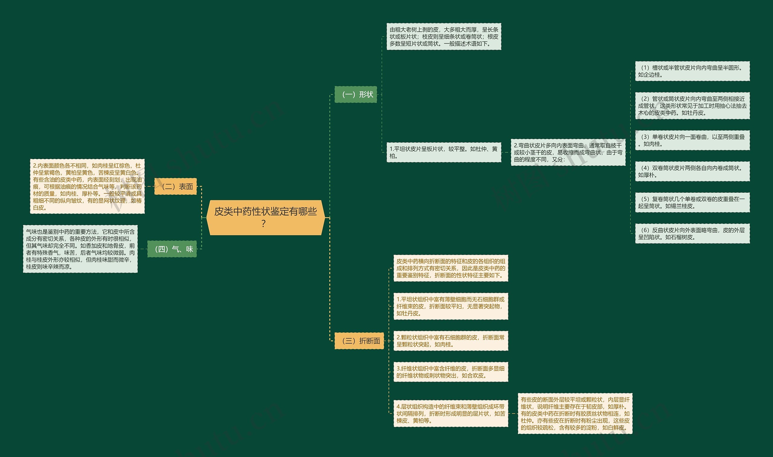 皮类中药性状鉴定有哪些? 皮类中药性状鉴定有哪些?