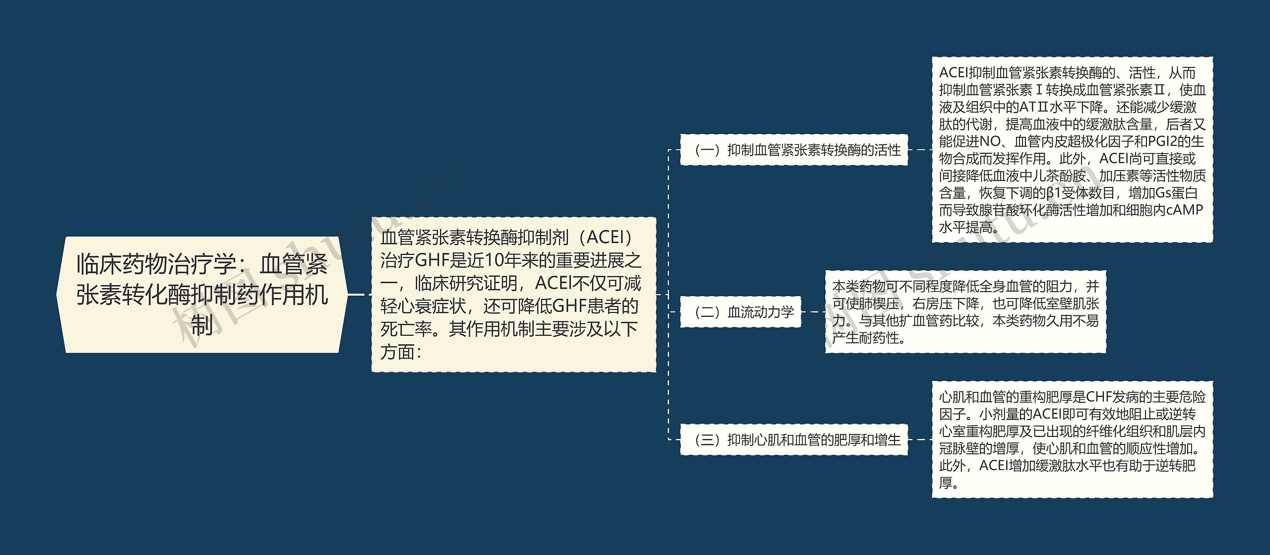 临床药物治疗学：血管紧张素转化酶抑制药作用机制思维导图