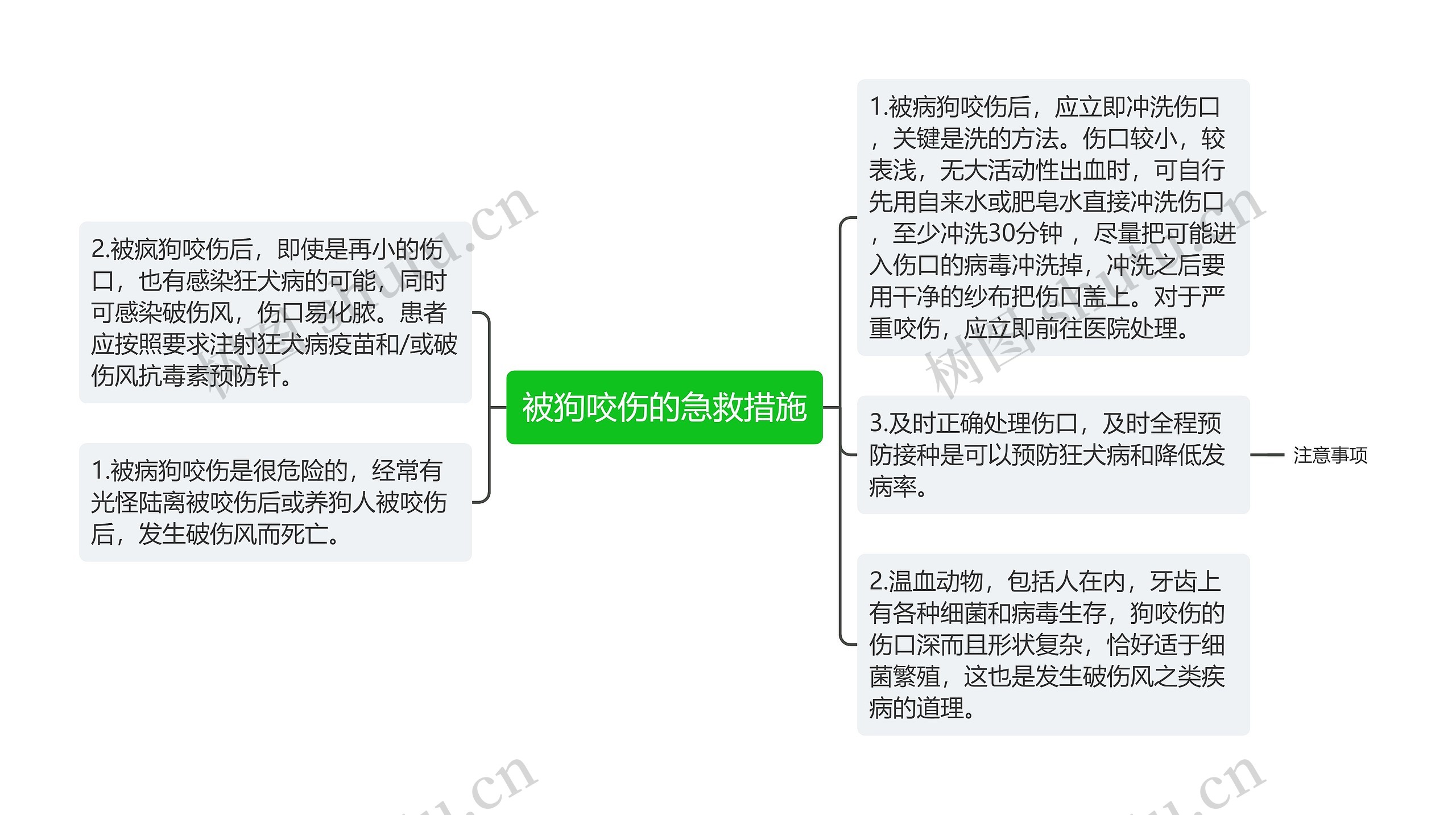 被狗咬伤的急救措施