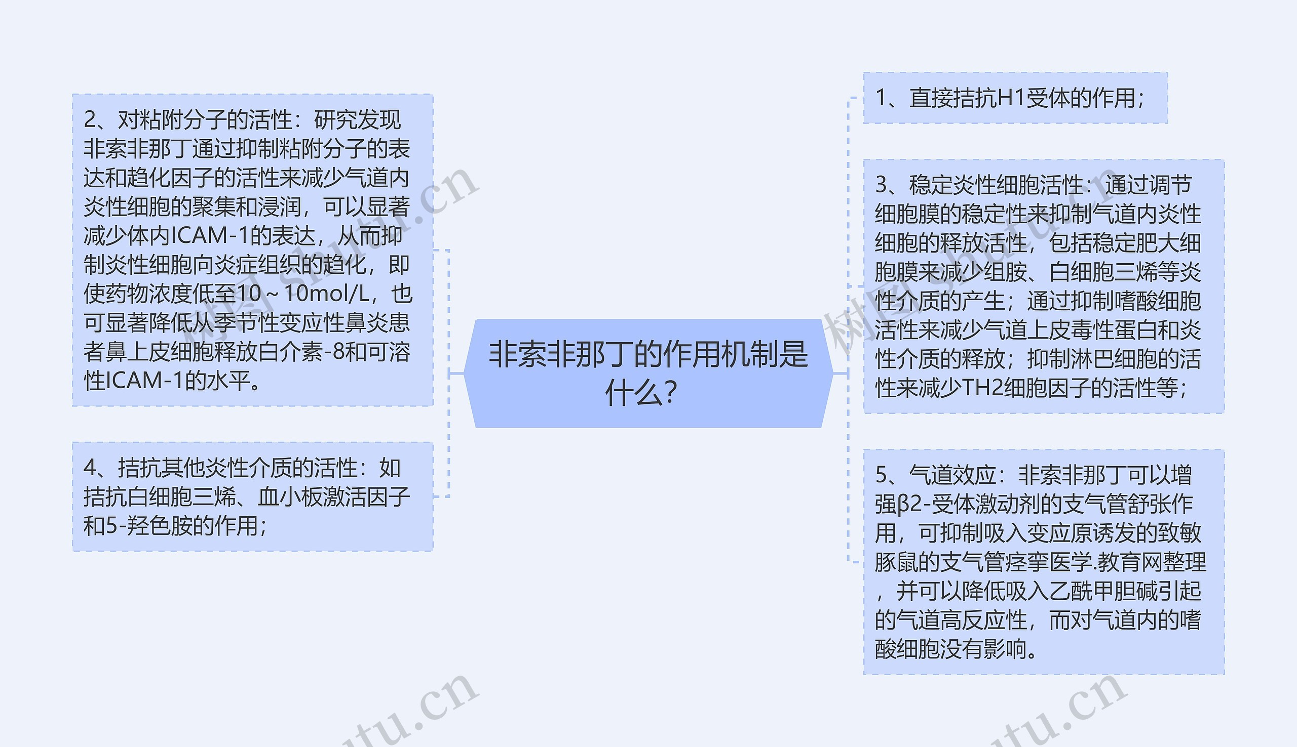 非索非那丁的作用机制是什么？思维导图