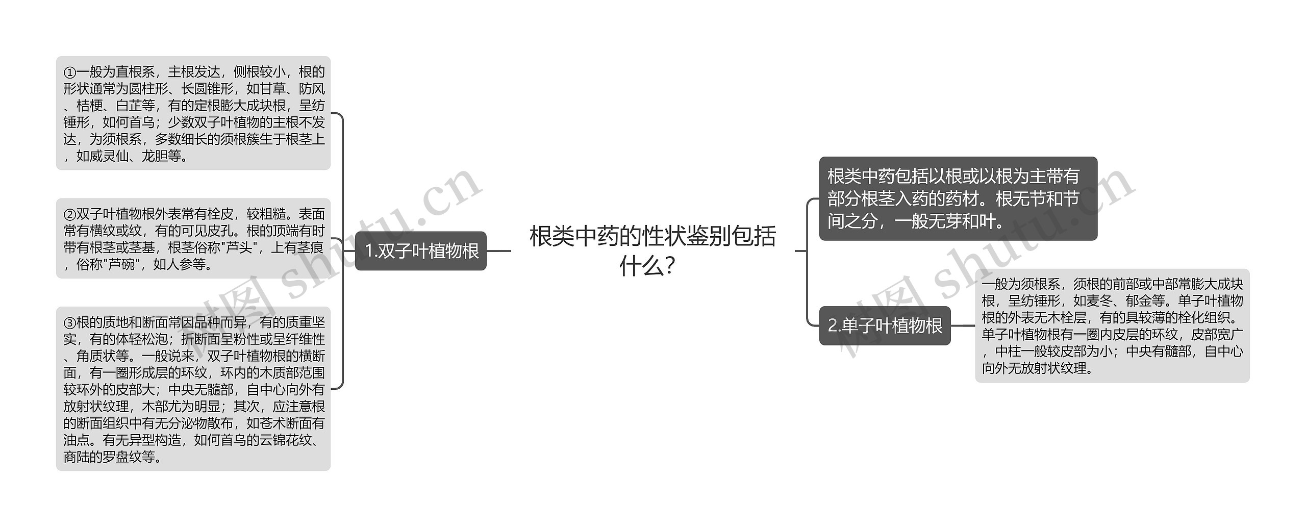 根类中药的性状鉴别包括什么？思维导图