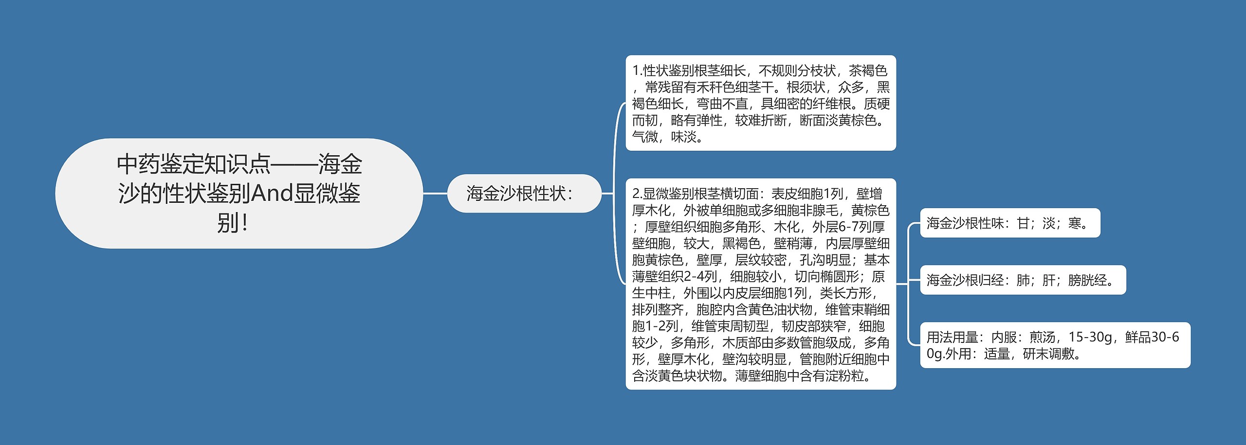 中药鉴定知识点——海金沙的性状鉴别And显微鉴别！