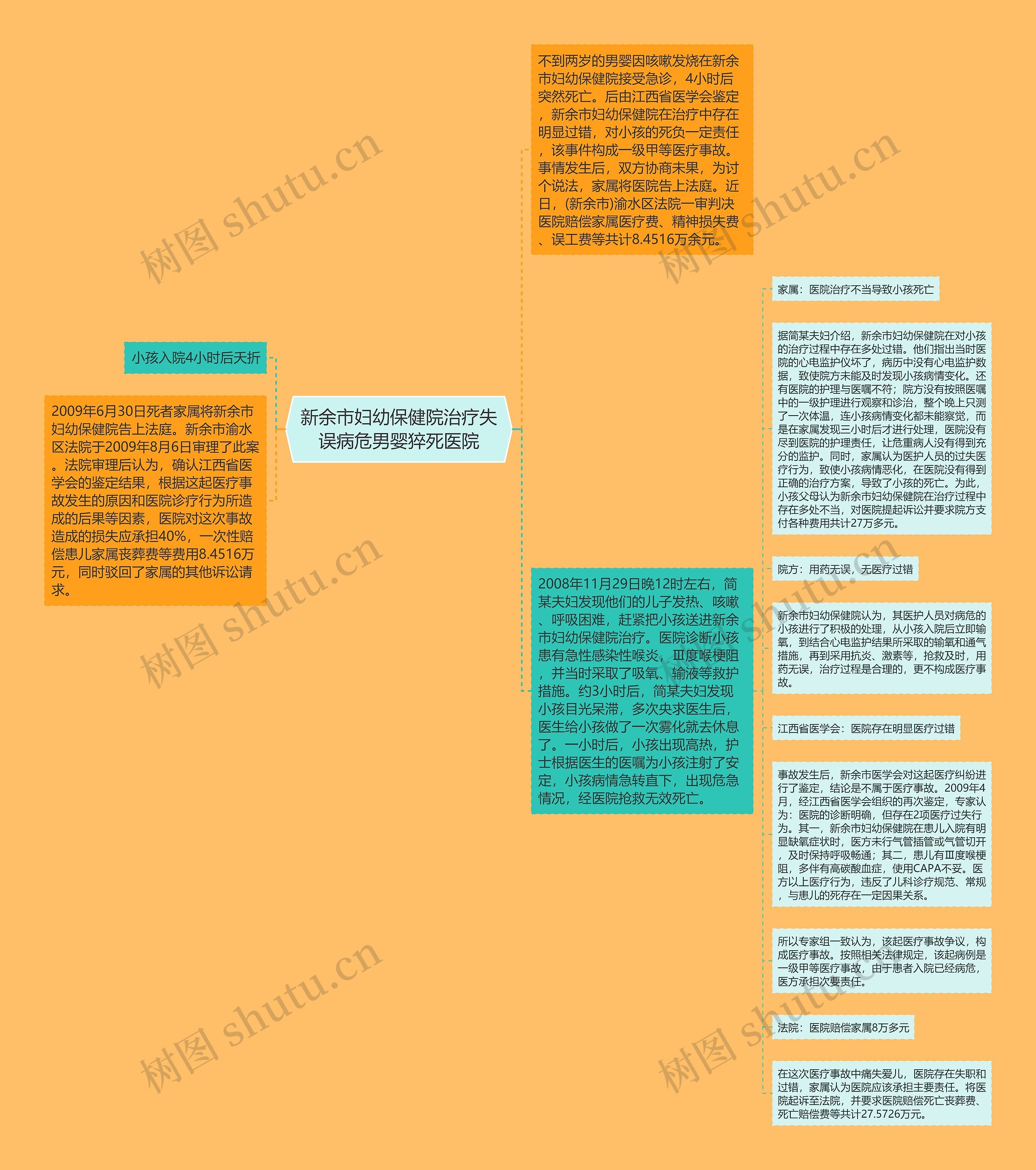 新余市妇幼保健院治疗失误病危男婴猝死医院思维导图