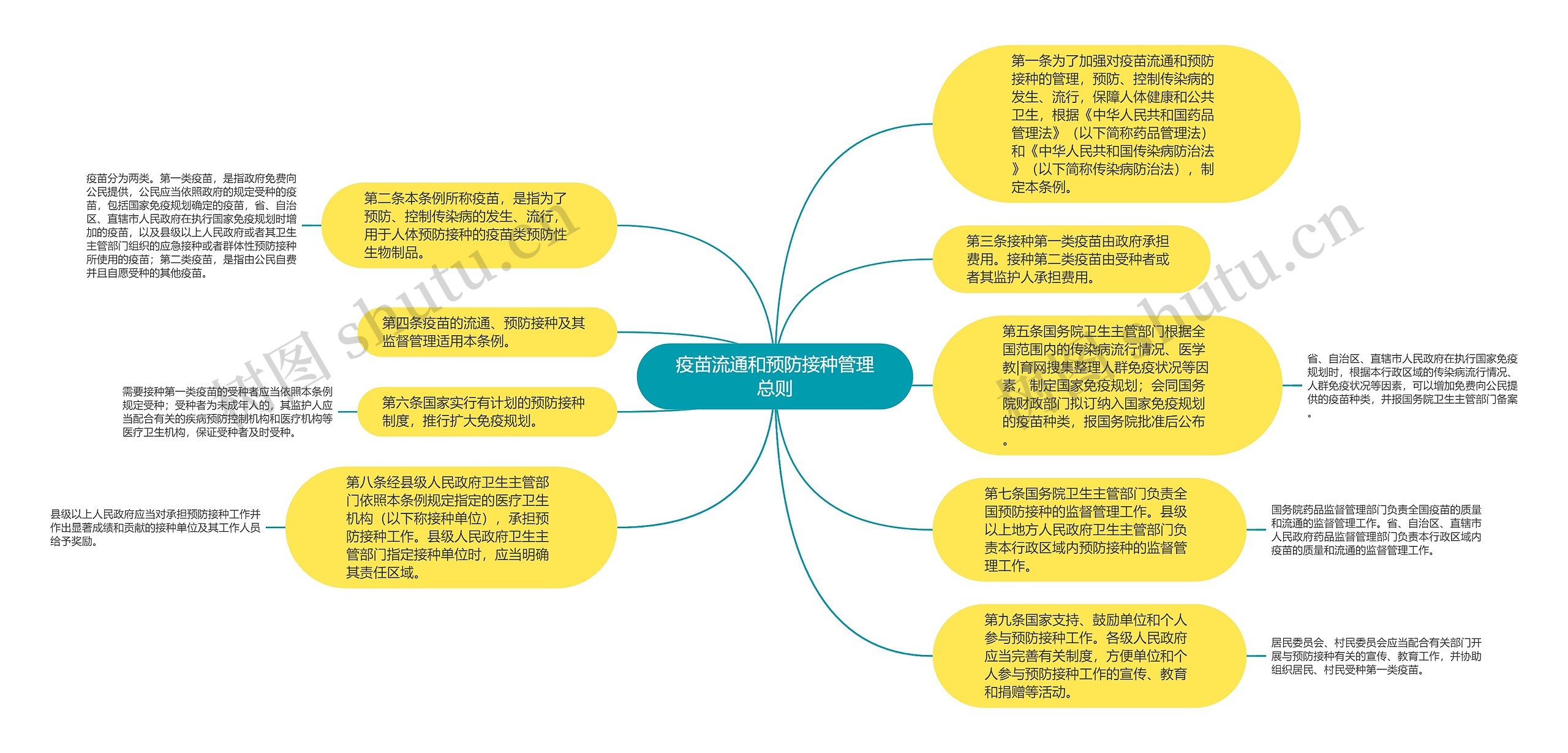 这就是疫苗思维导图图片