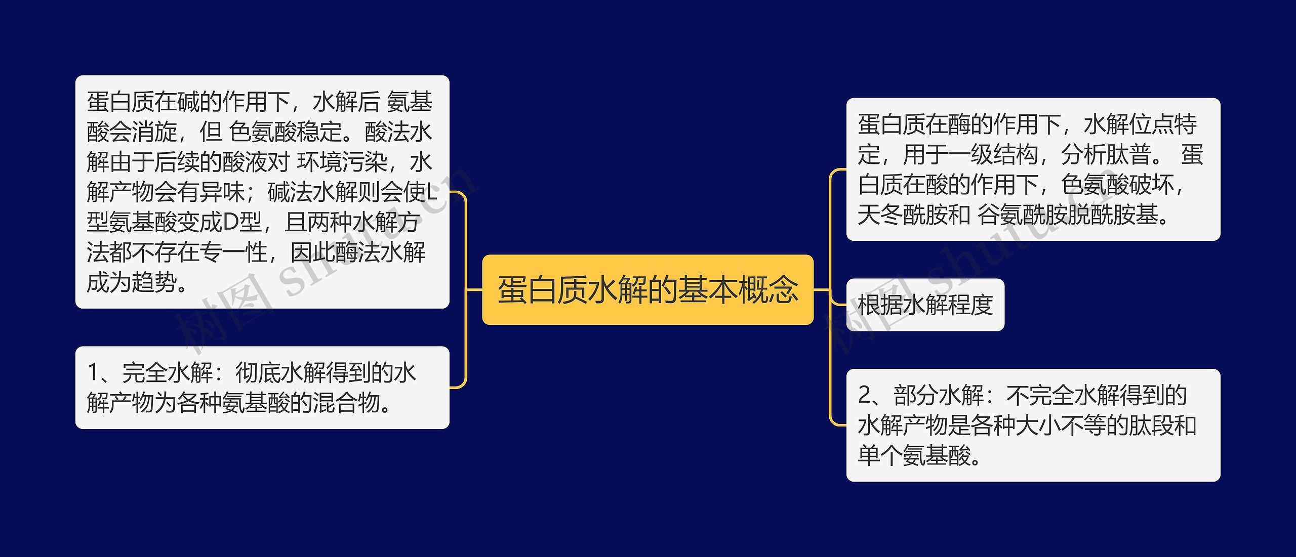 蛋白质水解的基本概念思维导图