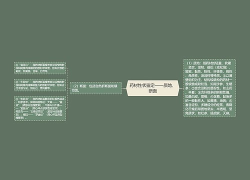 药材性状鉴定——质地、断面