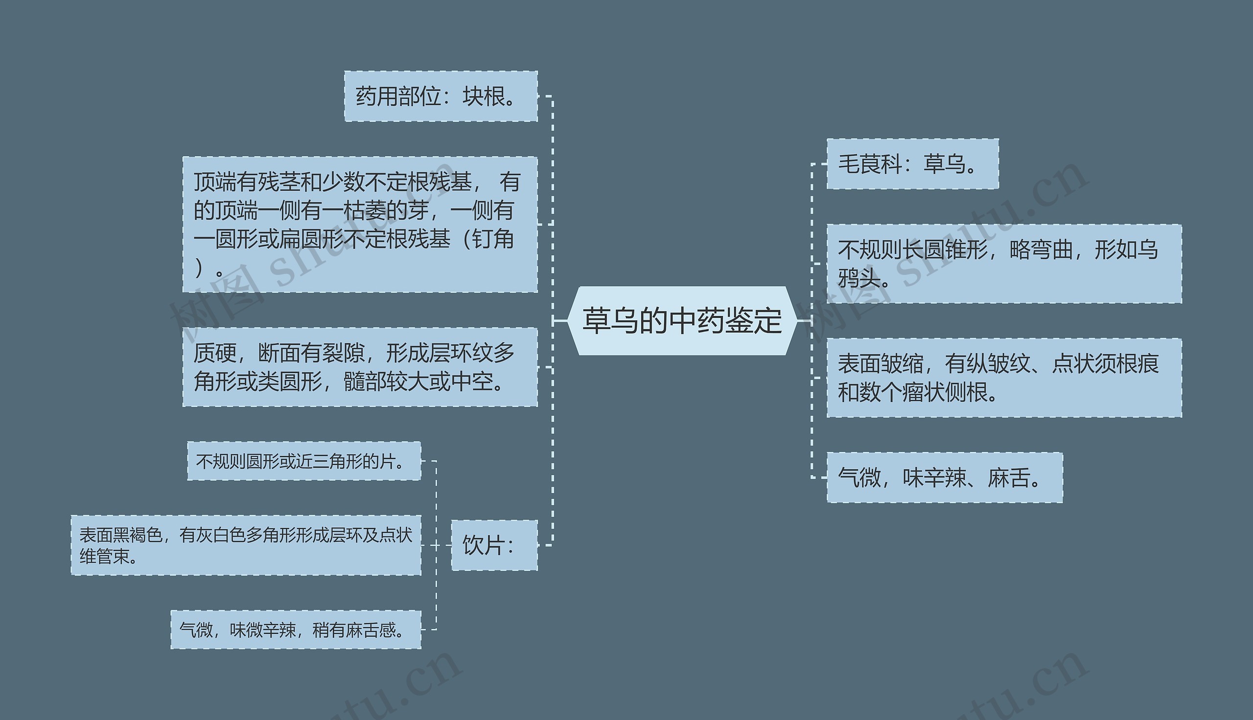 草乌的中药鉴定思维导图