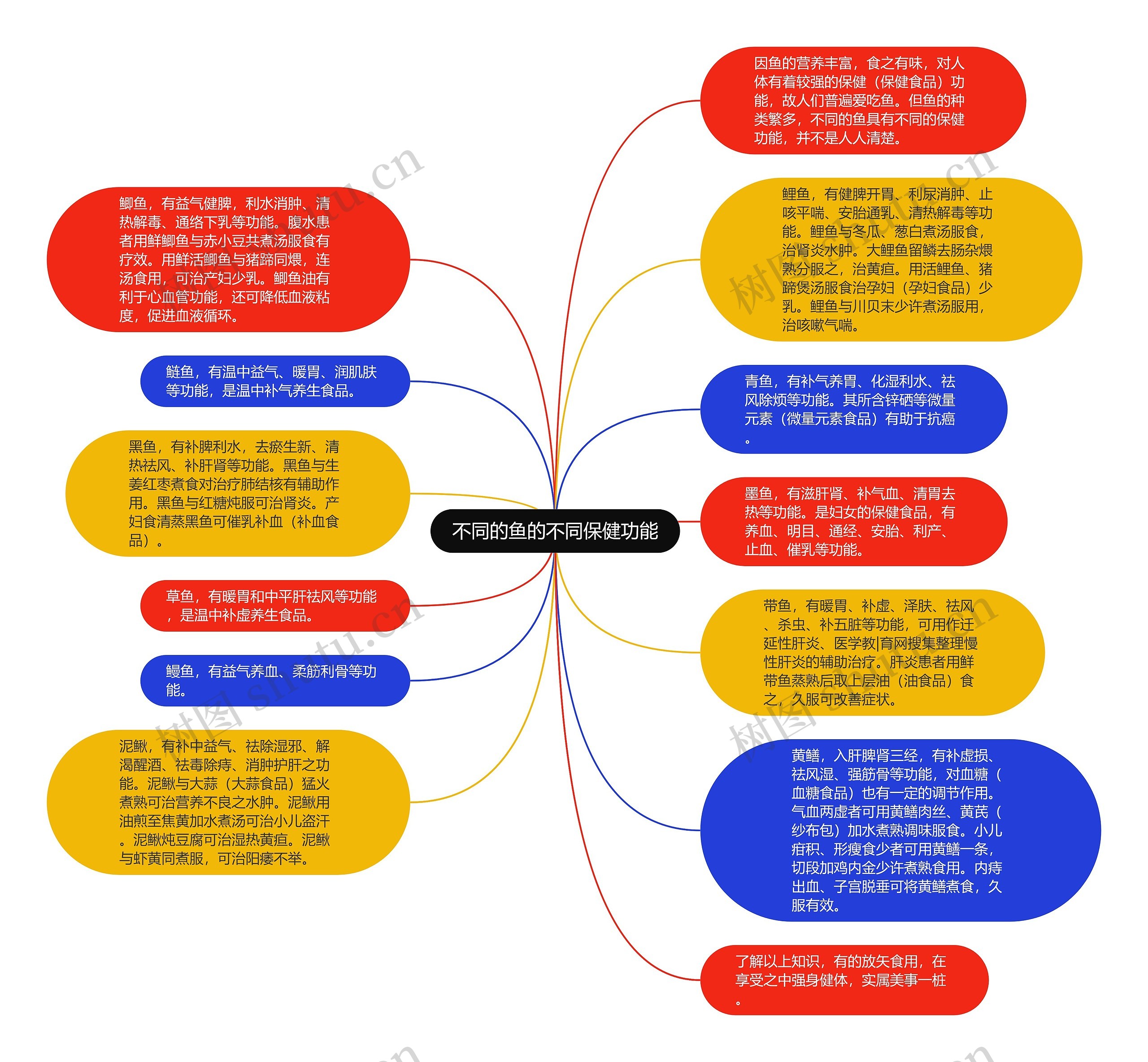 不同的鱼的不同保健功能思维导图