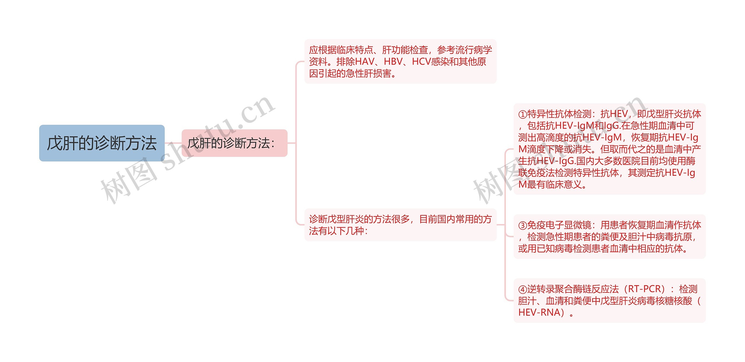 戊肝的诊断方法