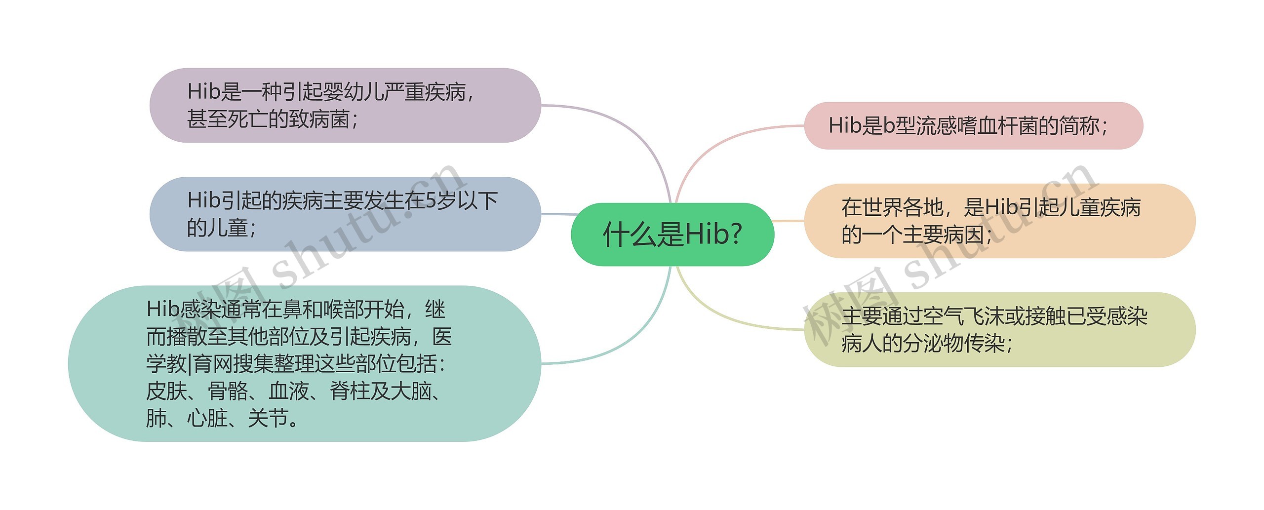 什么是Hib?思维导图