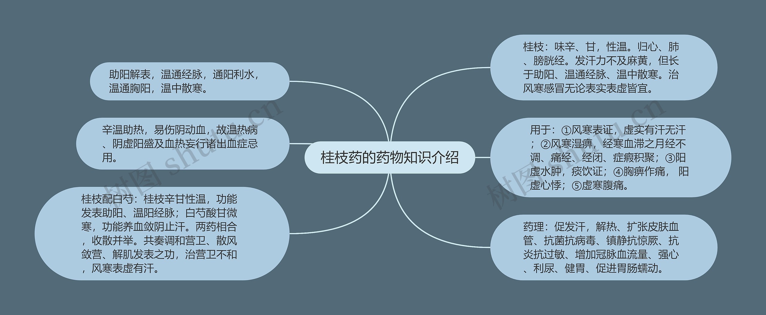 桂枝药的药物知识介绍