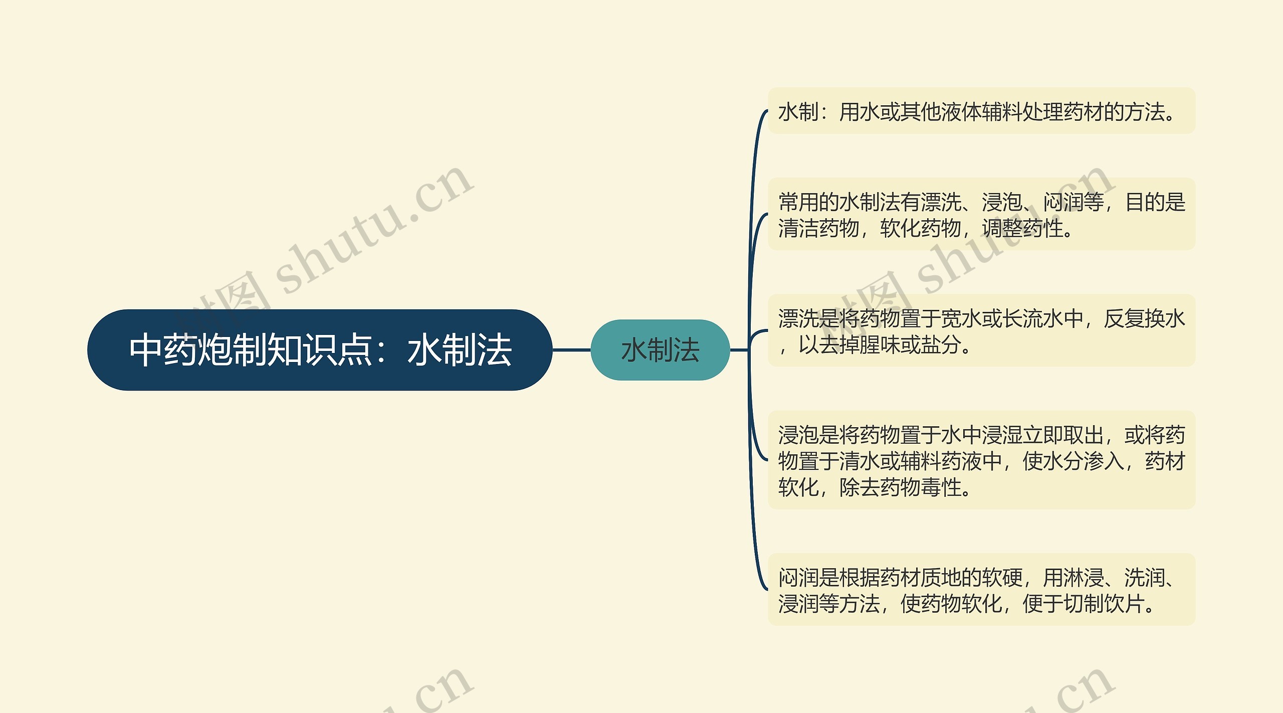 中药炮制知识点：水制法