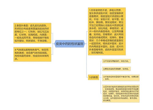 皮类中药的性状鉴别