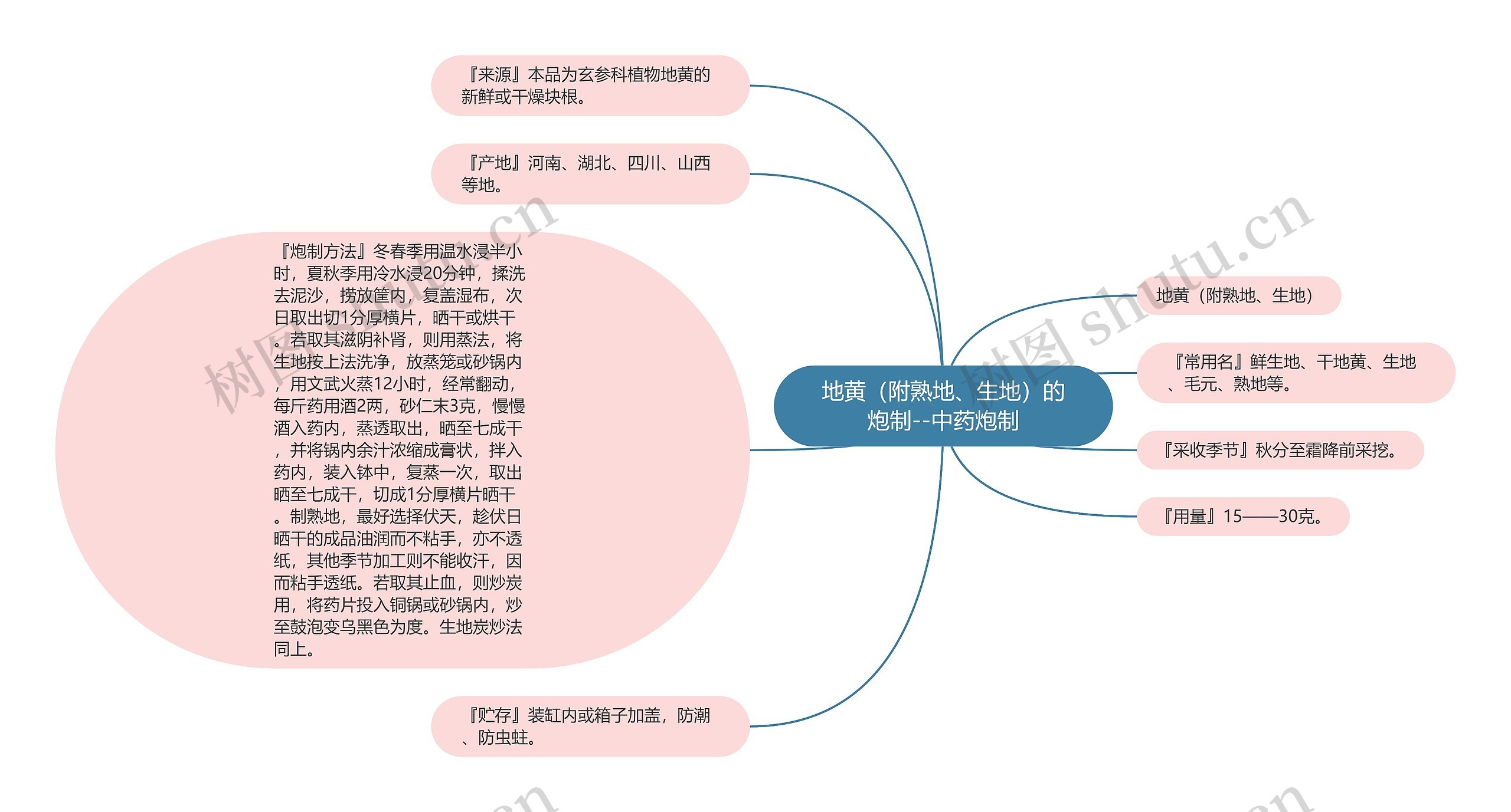 地黄（附熟地、生地）的炮制--中药炮制思维导图