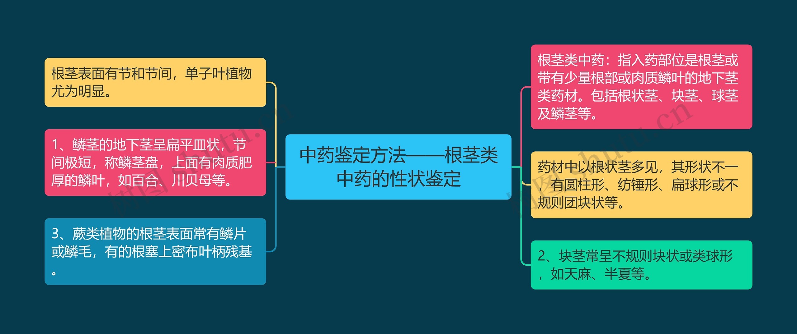 中药鉴定方法——根茎类中药的性状鉴定