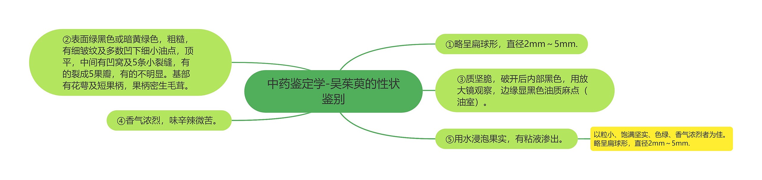 中药鉴定学-吴茱萸的性状鉴别思维导图