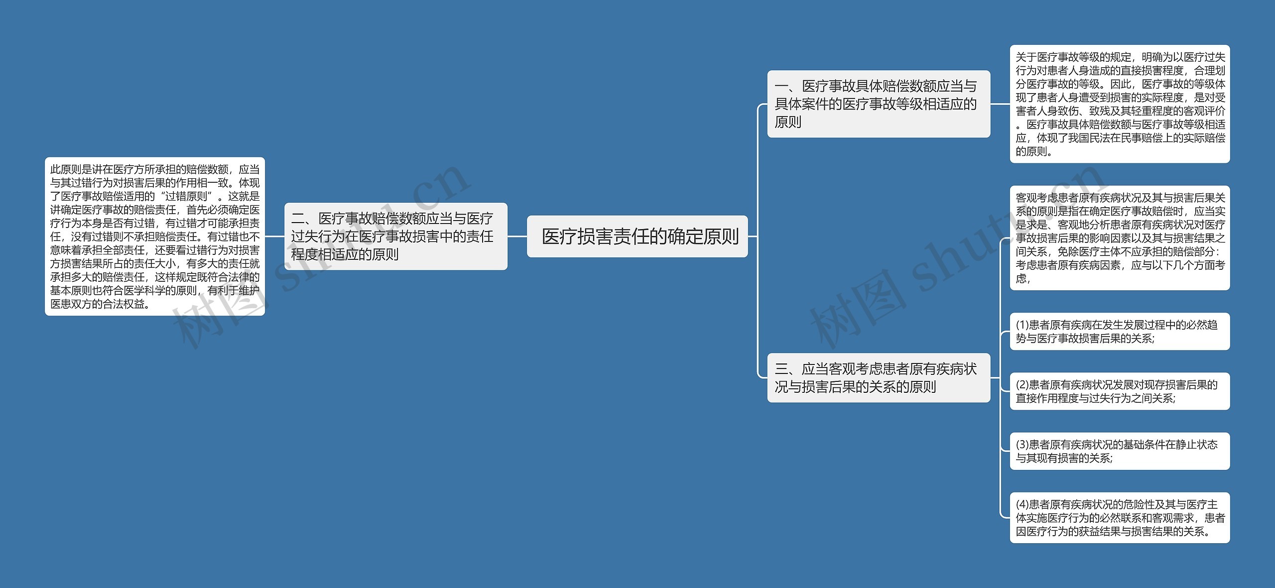  医疗损害责任的确定原则思维导图