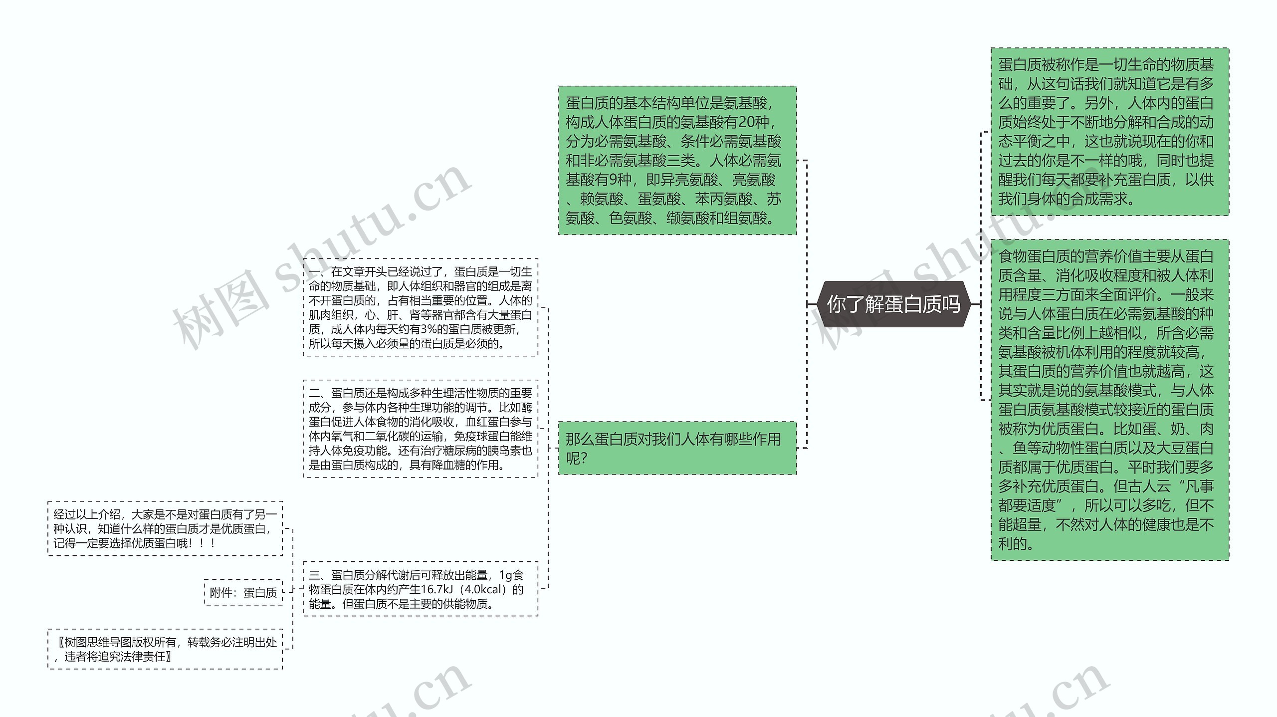 你了解蛋白质吗思维导图