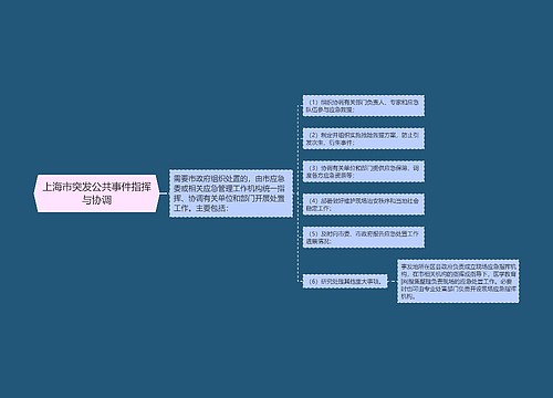 上海市突发公共事件指挥与协调