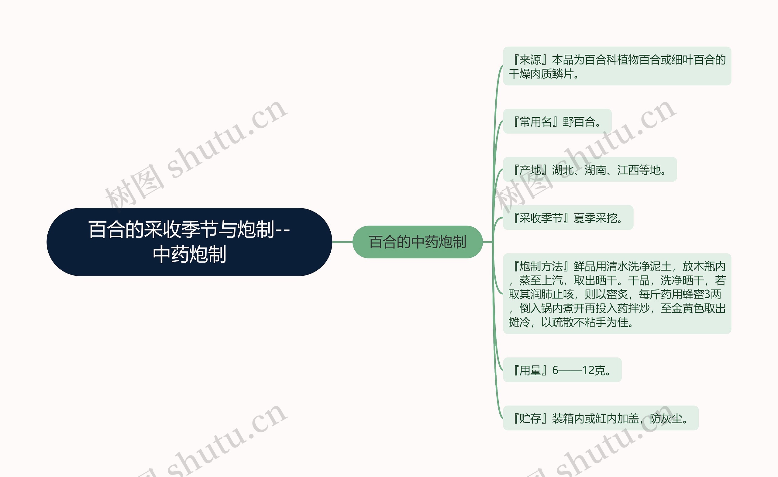 百合的采收季节与炮制--中药炮制思维导图