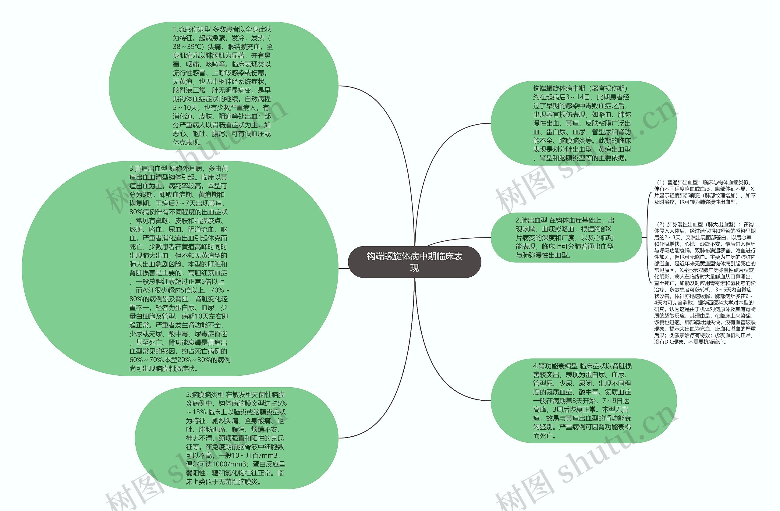 钩端螺旋体病中期临床表现思维导图