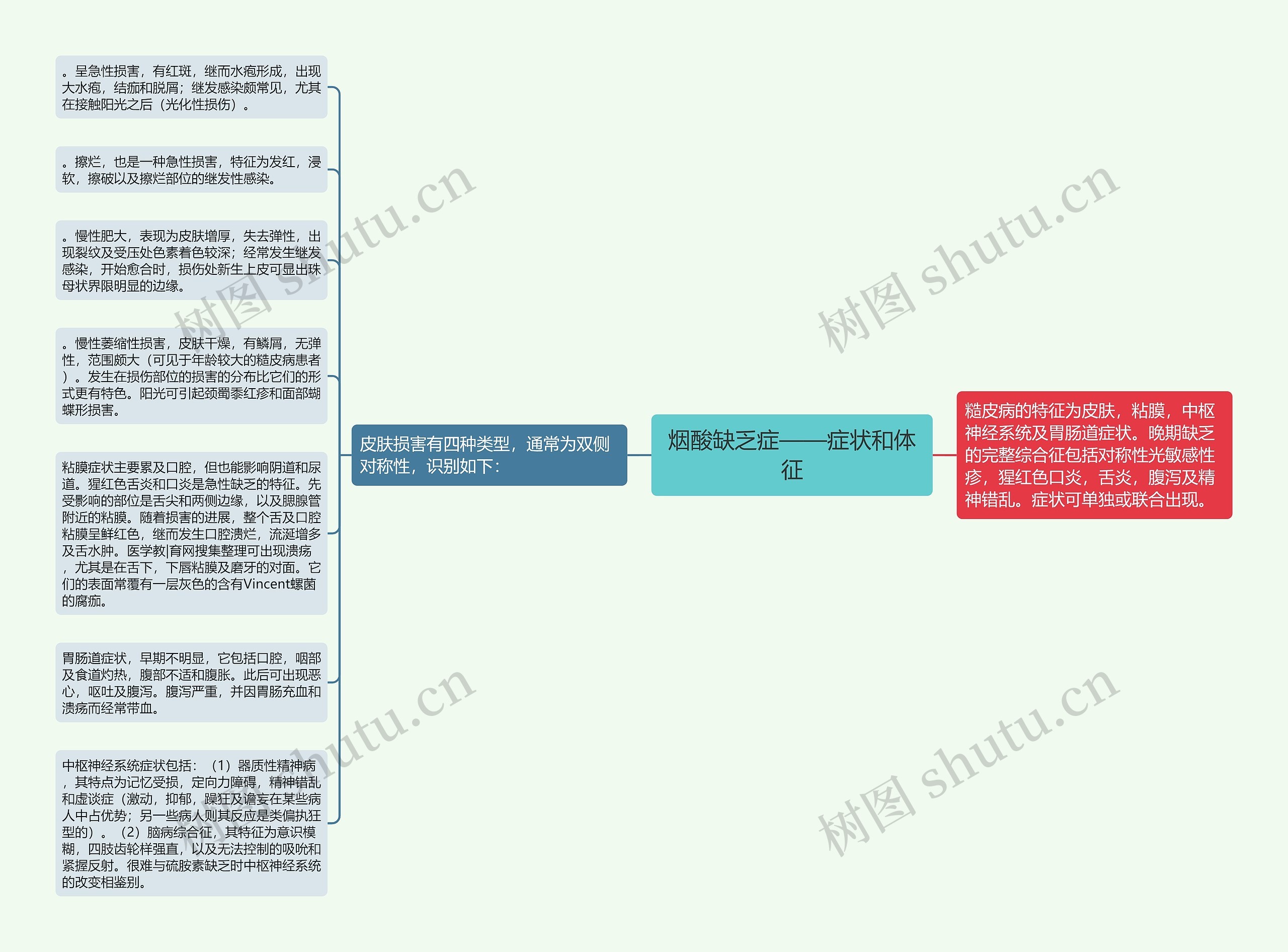 烟酸缺乏症——症状和体征