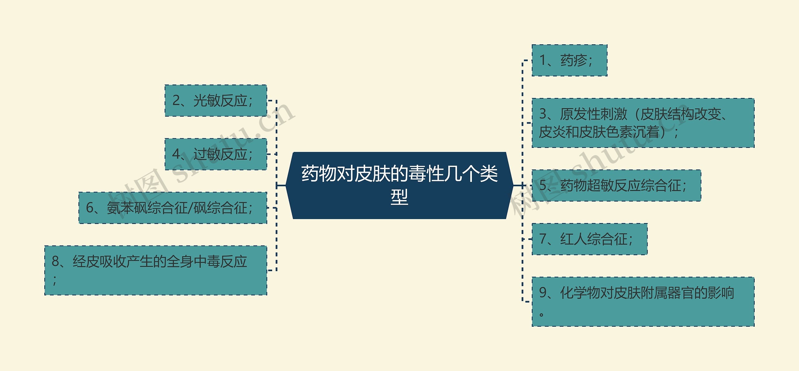 药物对皮肤的毒性几个类型思维导图