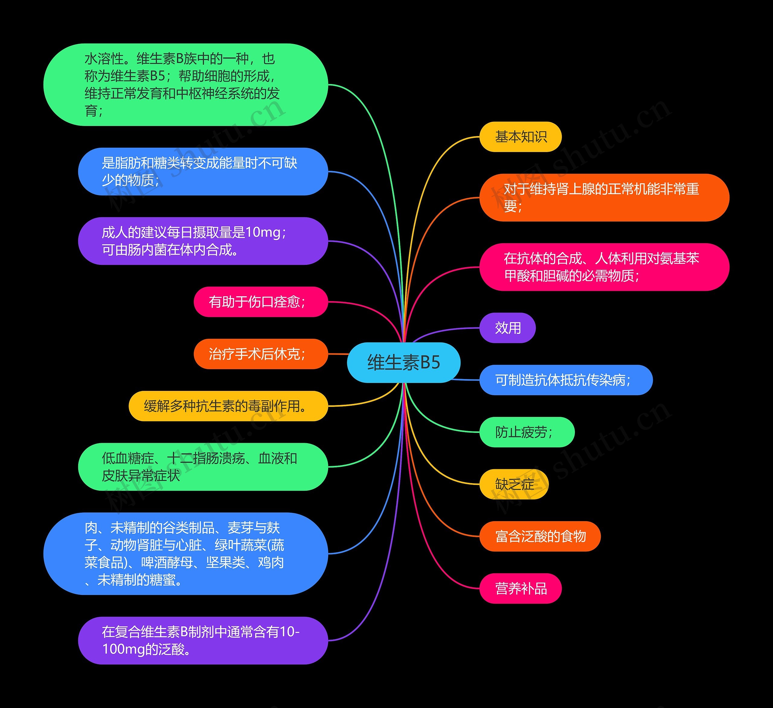 维生素B5思维导图