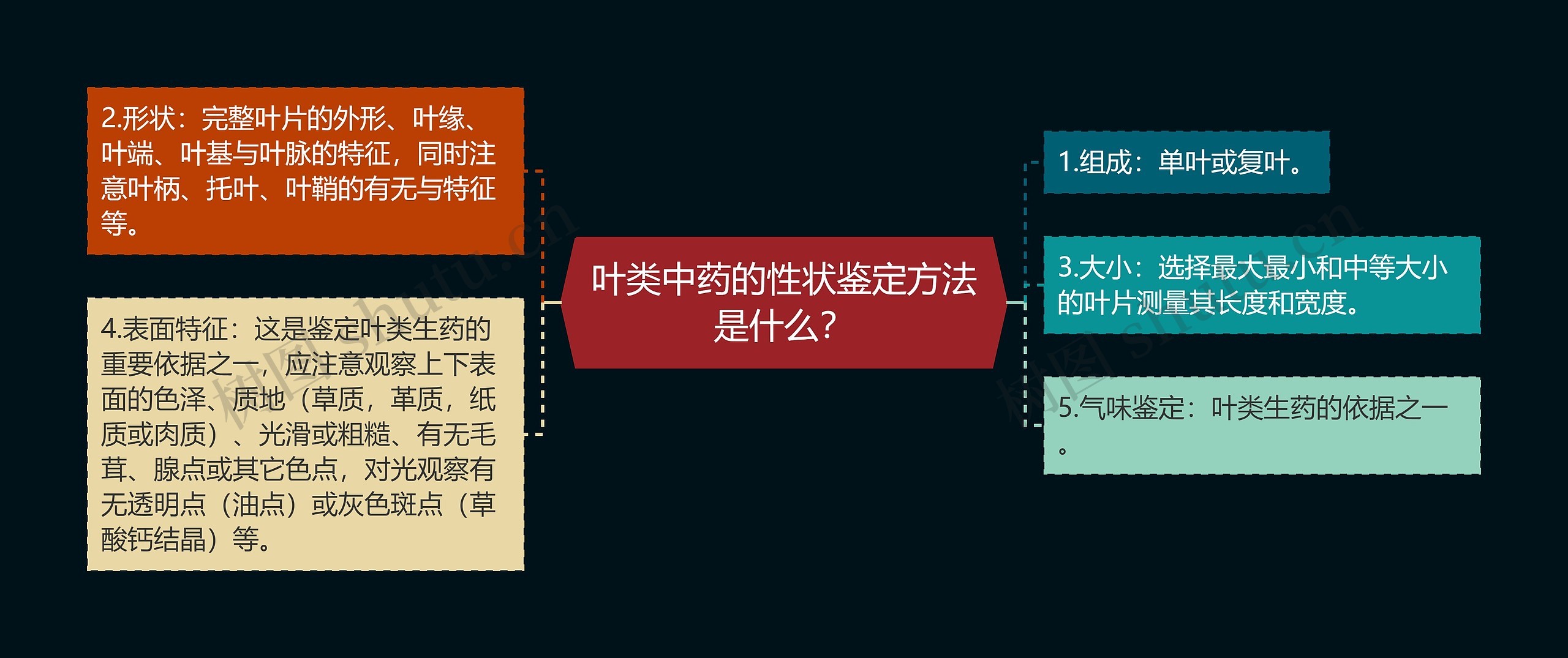 叶类中药的性状鉴定方法是什么？思维导图