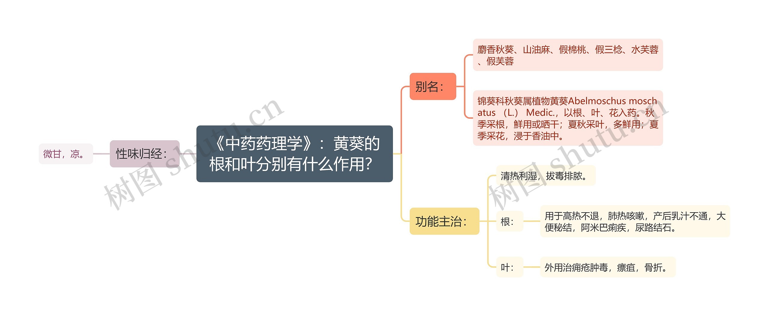 《中药药理学》：黄葵的根和叶分别有什么作用？思维导图