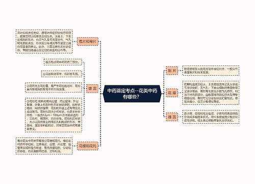 中药鉴定考点--花类中药有哪些？