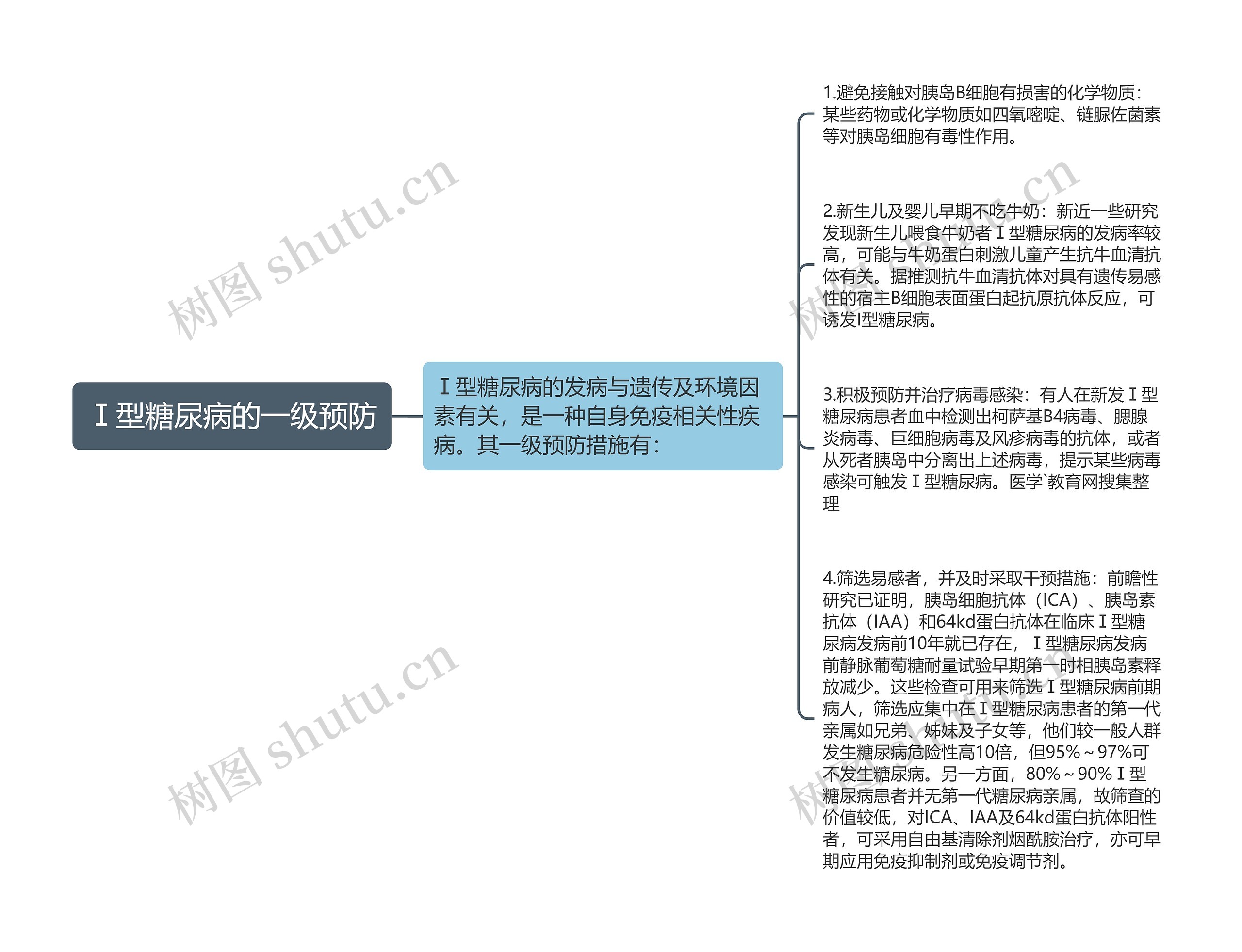 Ⅰ型糖尿病的一级预防思维导图