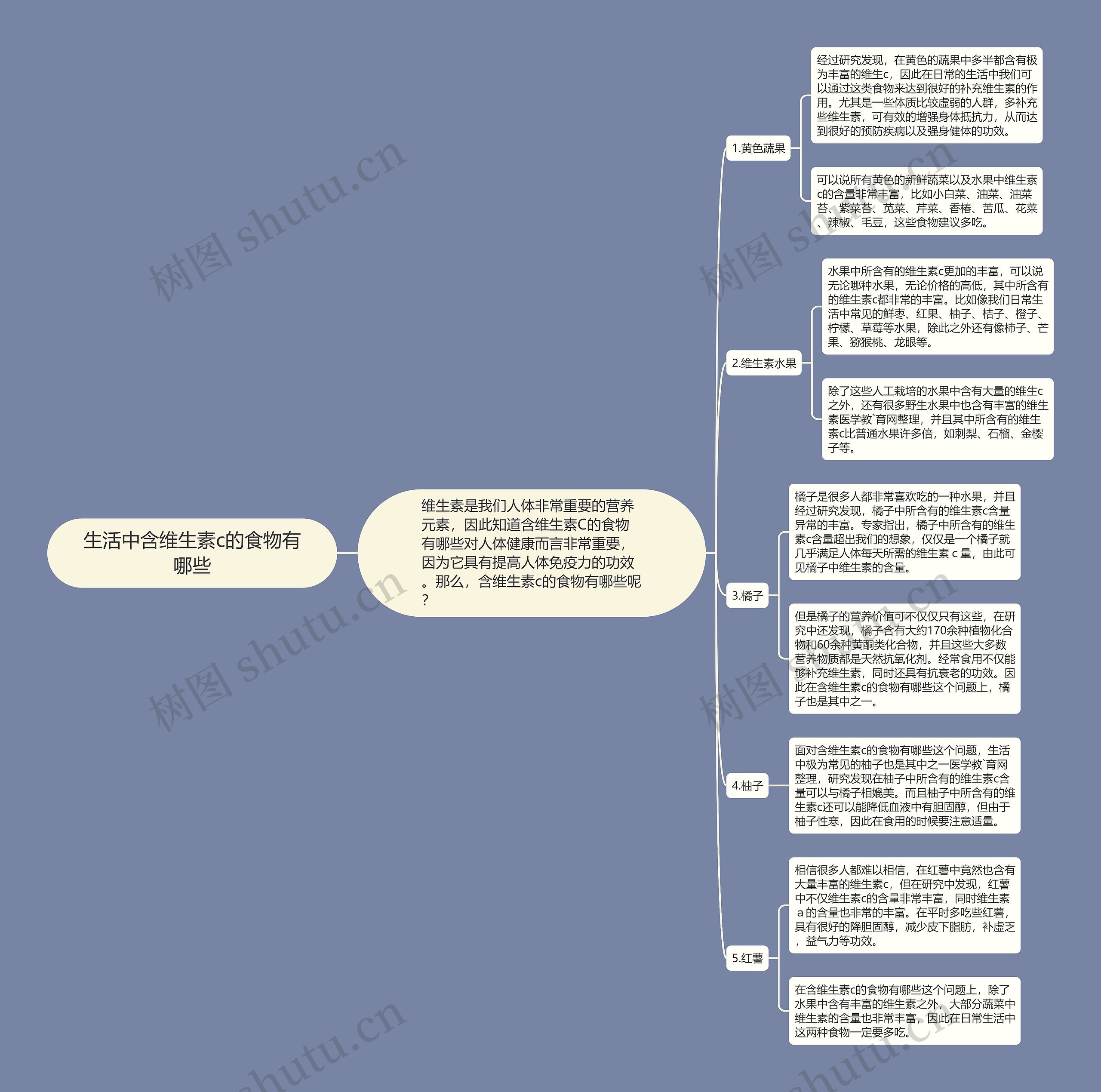 生活中含维生素c的食物有哪些思维导图