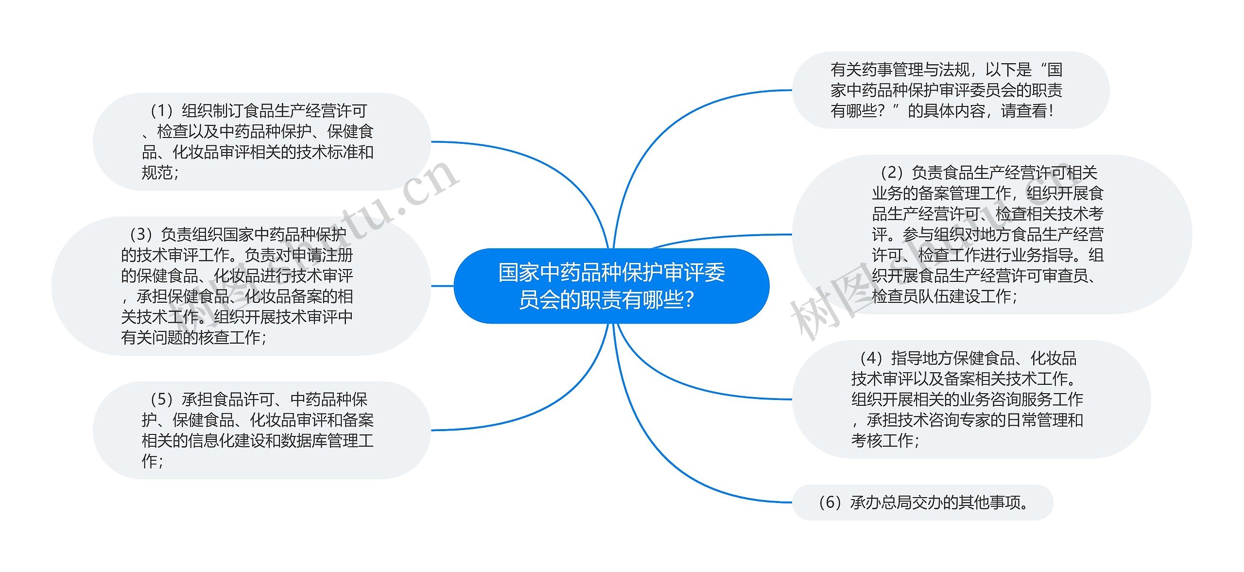 国家中药品种保护审评委员会的职责有哪些？思维导图