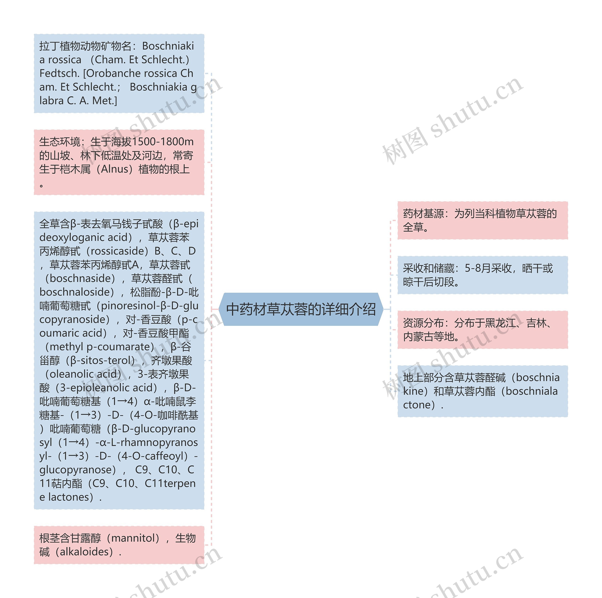 中药材草苁蓉的详细介绍