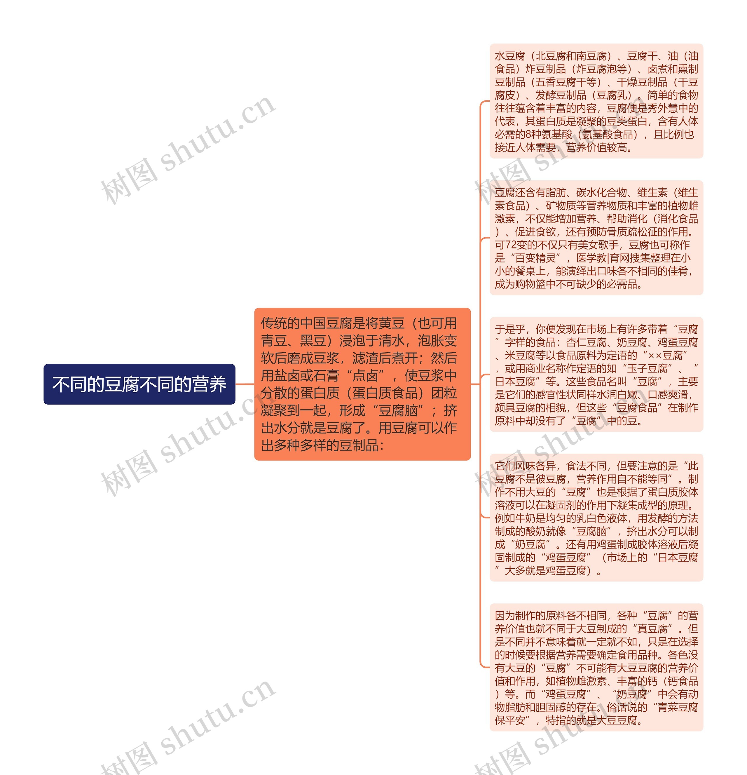 不同的豆腐不同的营养思维导图