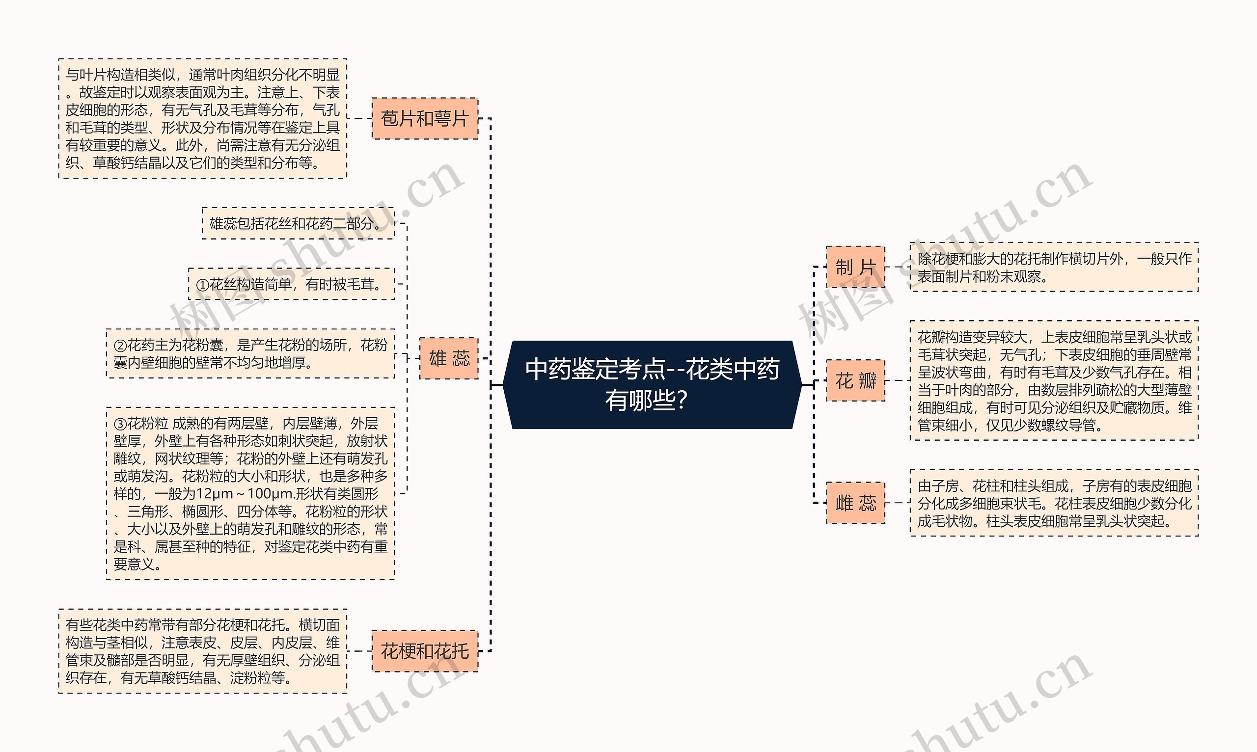 中药鉴定考点--花类中药有哪些？思维导图