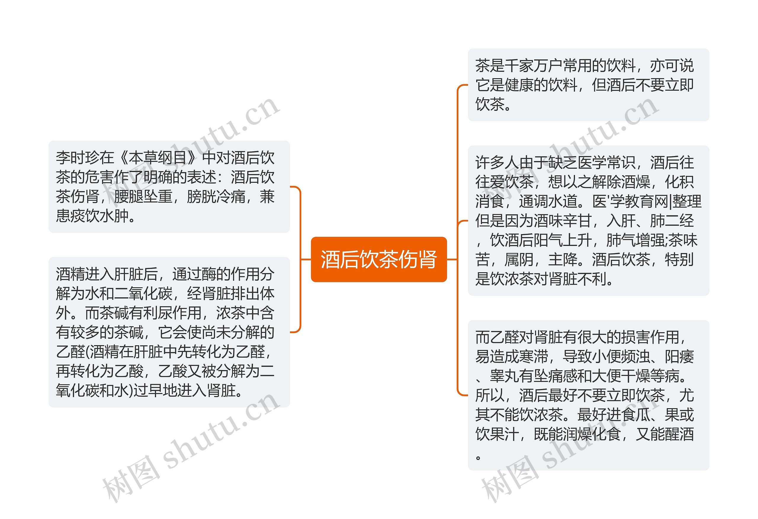 酒后饮茶伤肾思维导图