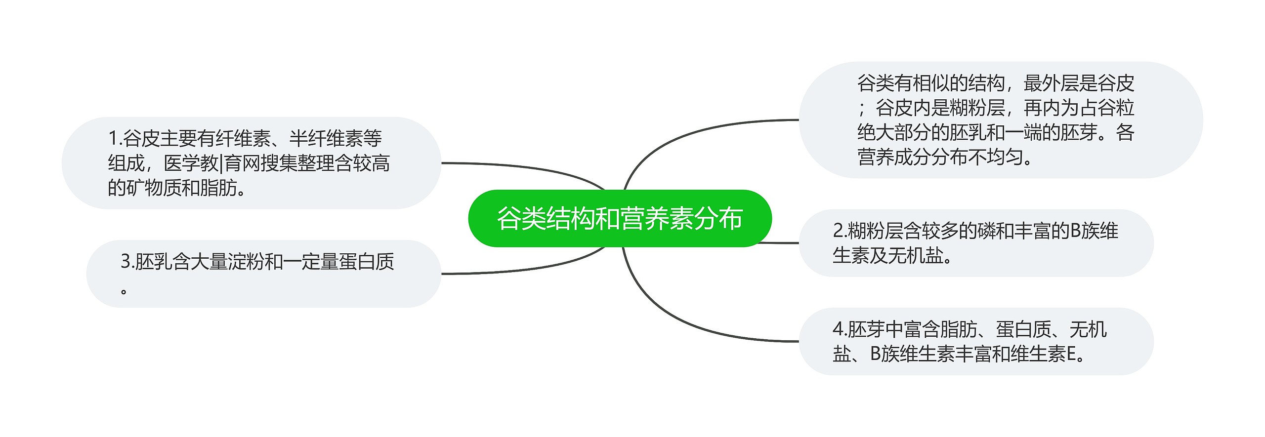 谷类结构和营养素分布思维导图