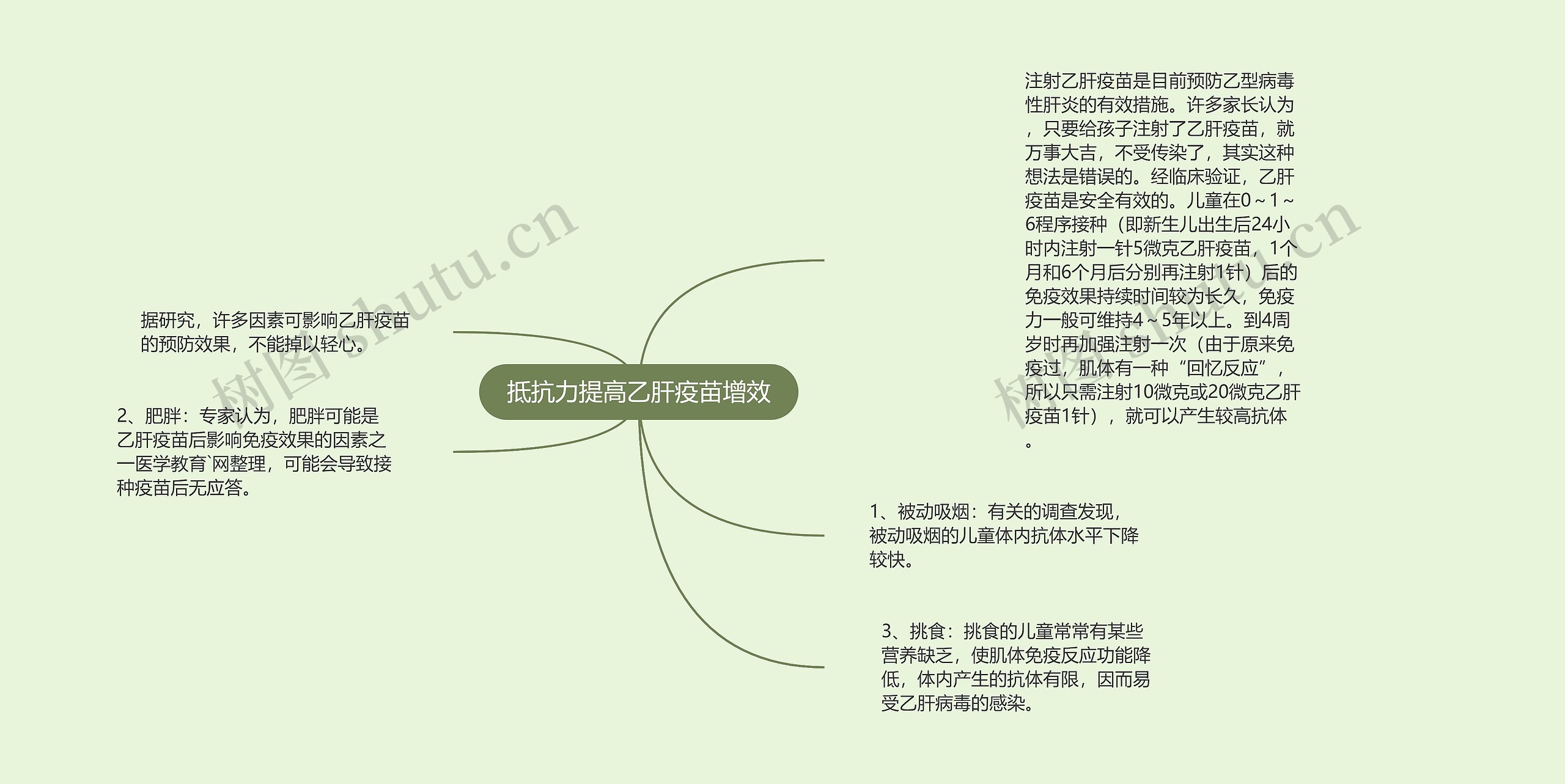 抵抗力提高乙肝疫苗增效思维导图