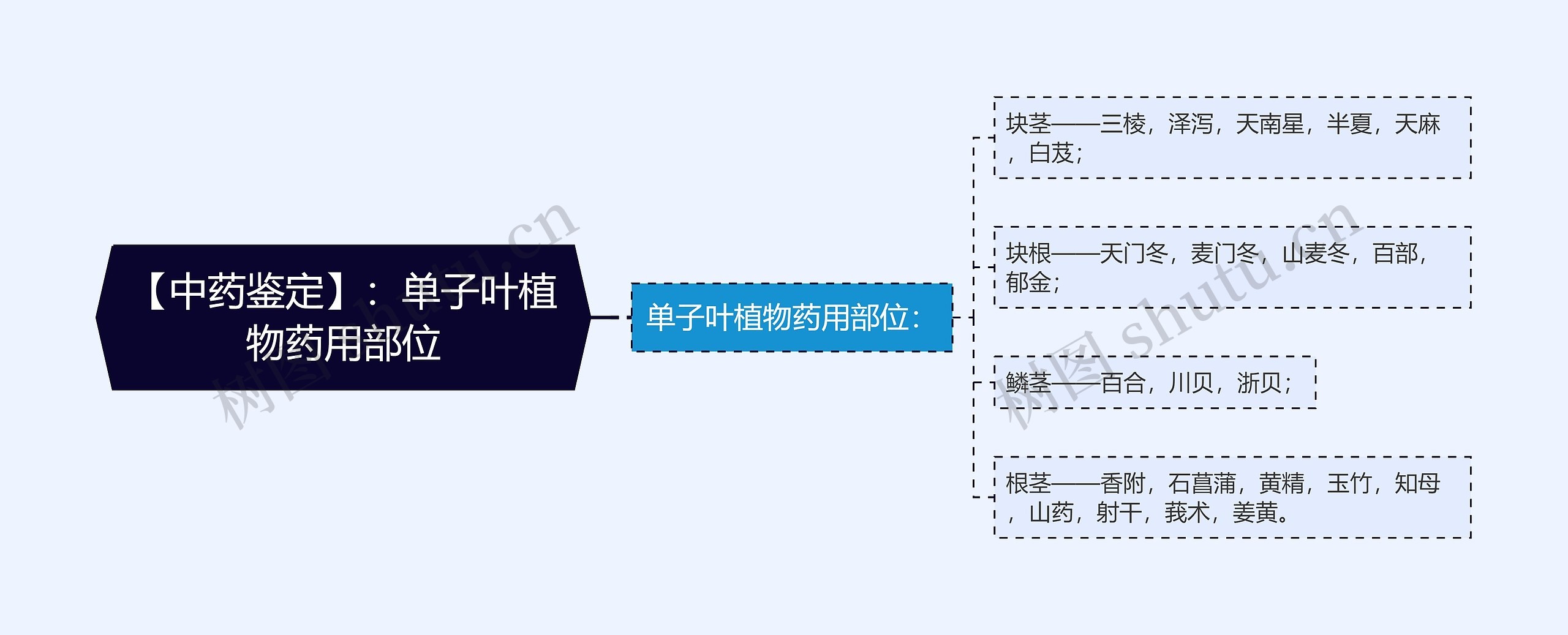 【中药鉴定】：单子叶植物药用部位思维导图